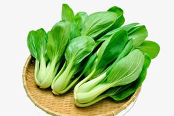 青菜照片,青菜之美