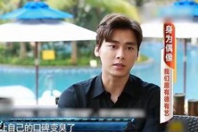 娱乐圈炮轰小鲜肉,品质与演技的争议风暴