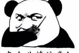 表情包源头,那些让人捧腹大笑的瞬间