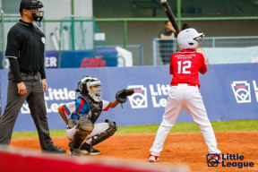 棒球少年,梦想与奋斗的青春交响曲