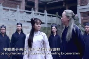 八卦宗师 电影剧情,揭秘武林秘籍，传承千年八卦奇术